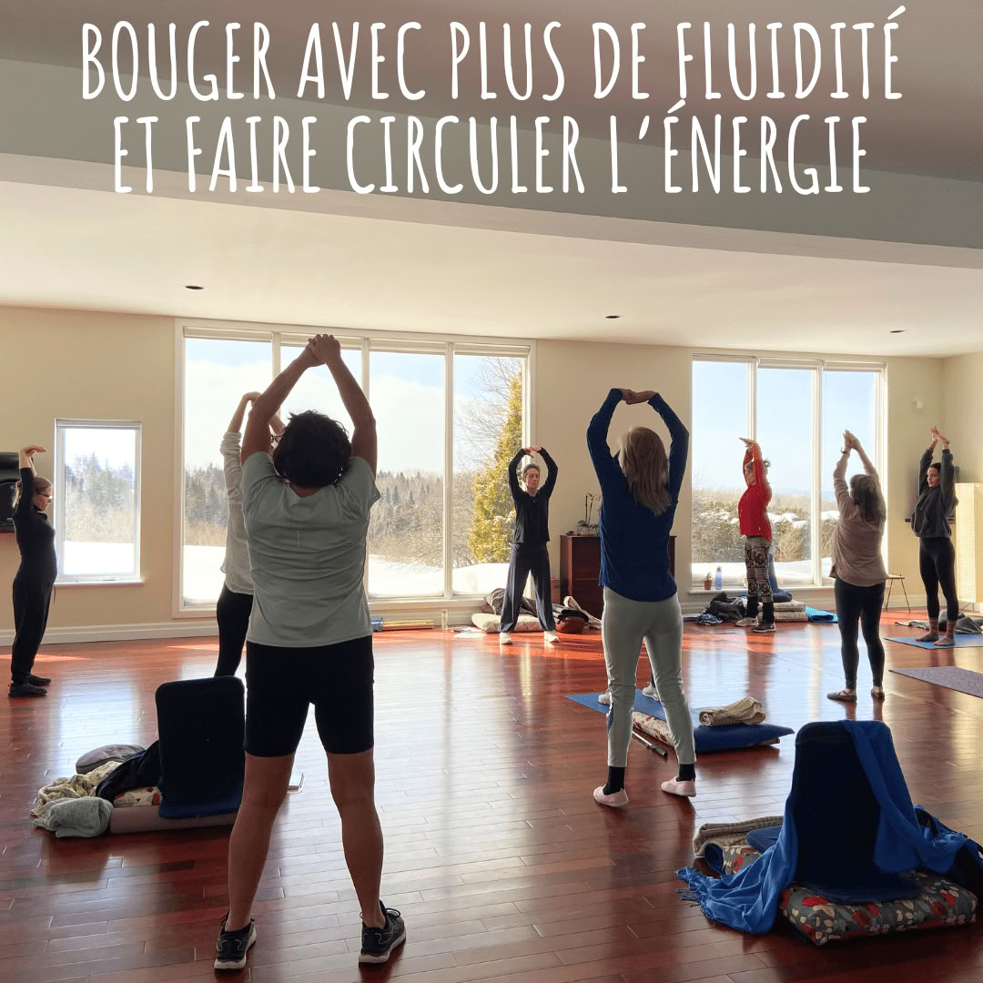 Retreat Mai 2026 - Qigong mit Maude