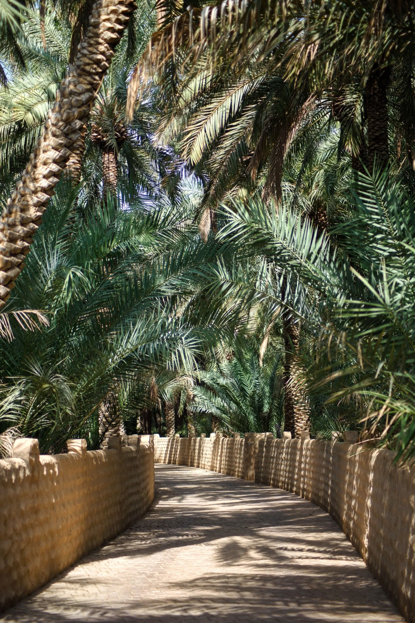 Blumenkranz-Workshop - Palm Springs
