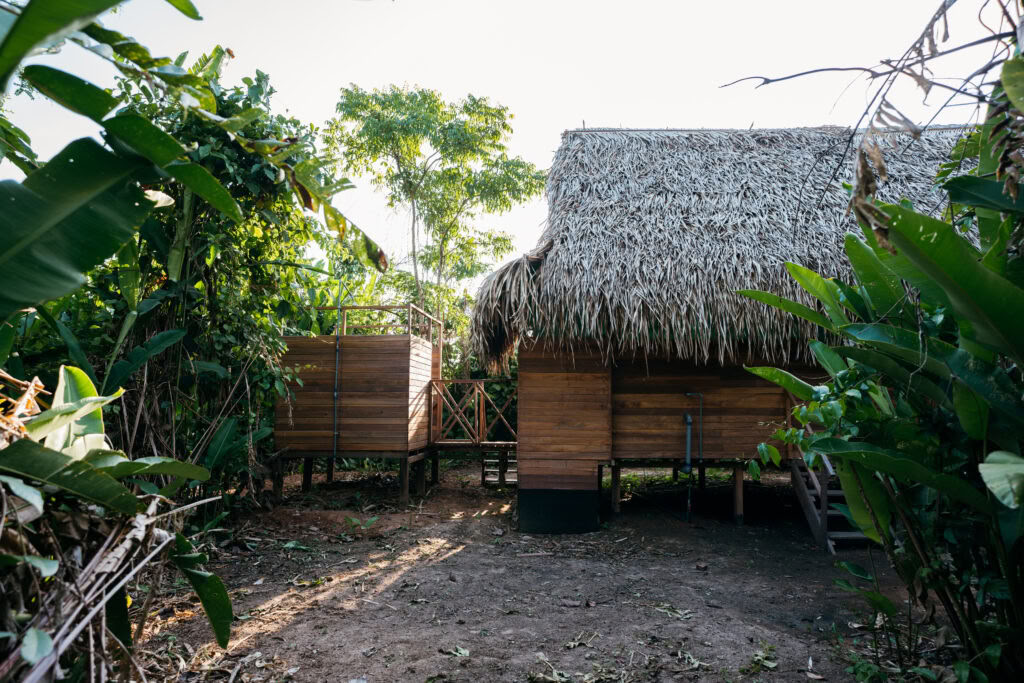 3-Wochen Samá (Masterplant-Diät)