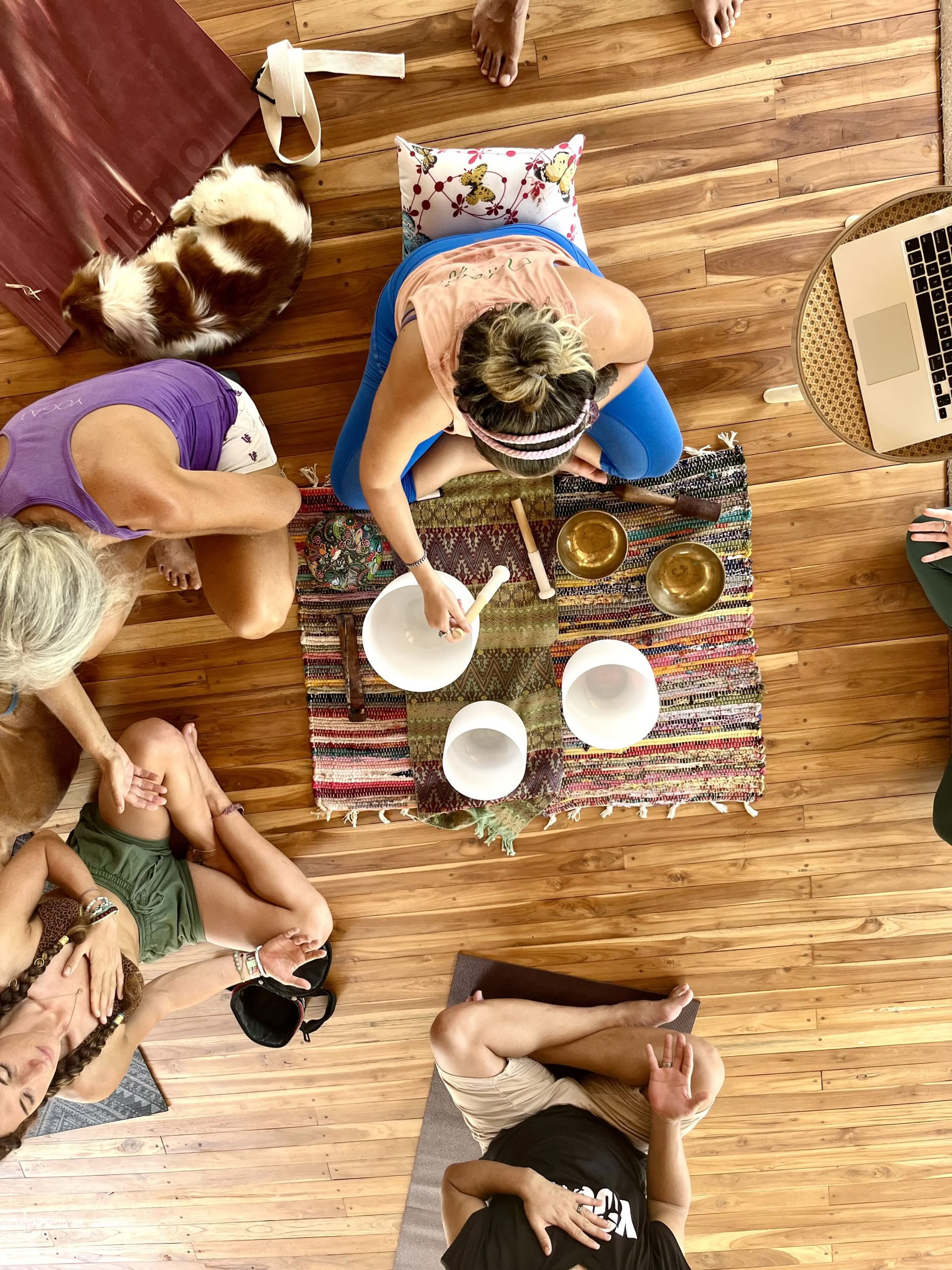 Breathwork Training: Practitioner- & Teacher-Track – 30. Aug. 2026 – 2. Sep. 2026