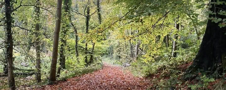18.-21. Mai One-to-One Emotional Healing Retreat