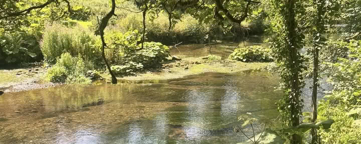 Anzahlung für Ho' Oponopono Retreat 13. bis 16. April