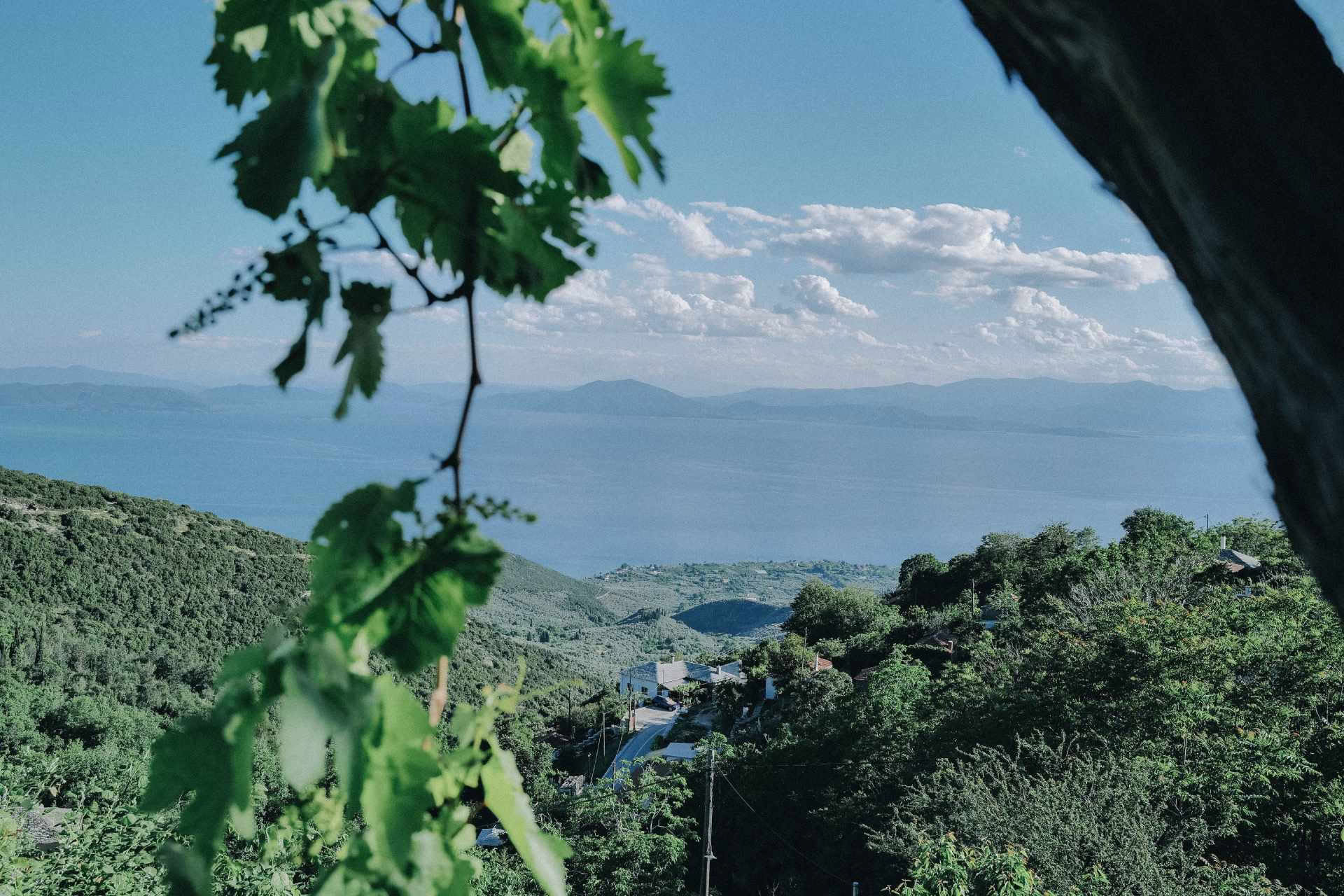 Mana Movement Nature Immersion Retreat
