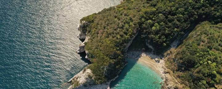 Rewilding für Frauen Retreat
