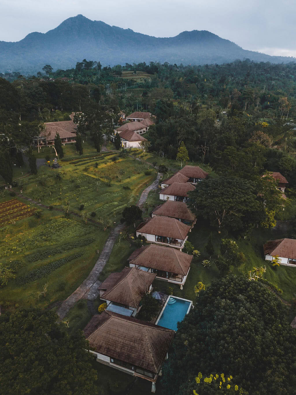 Meditationslehrerausbildung in Bali, Pelaga