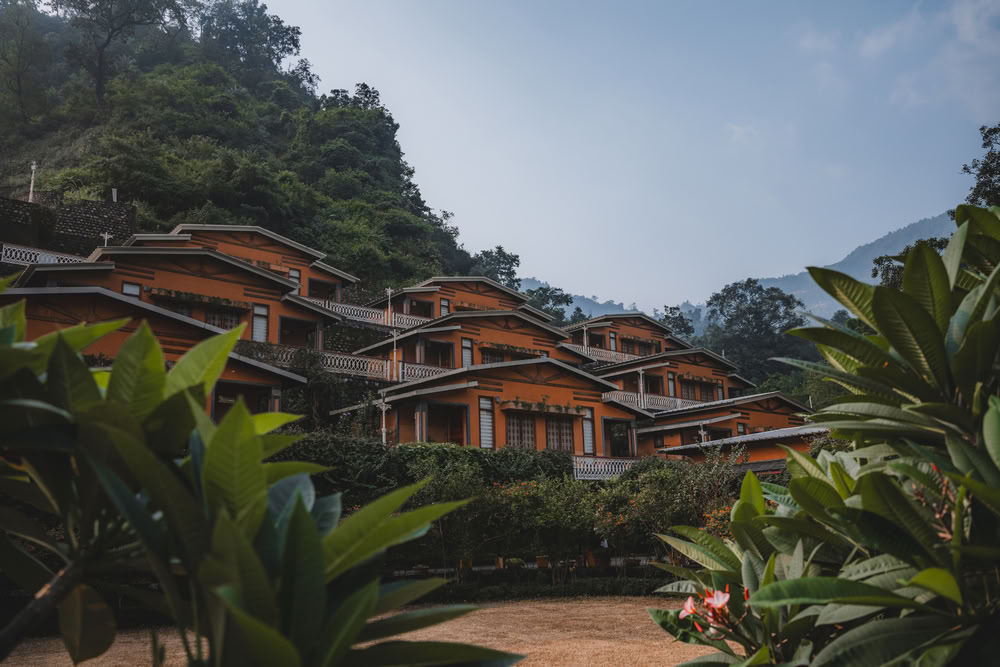 200-Stunden-YTT in Rishikesh – 23. Mai - 14. Juni 2026