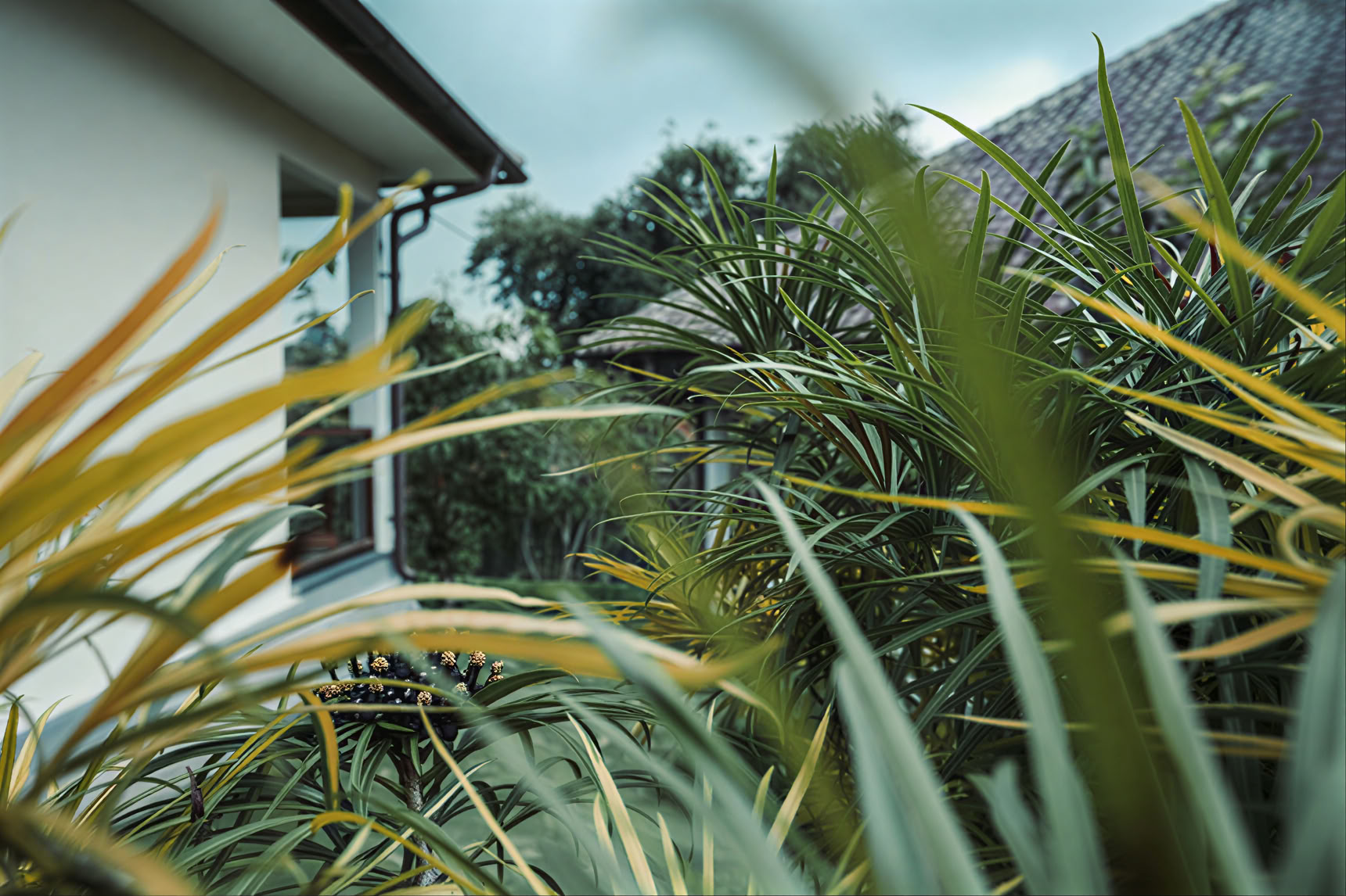 200-Stunden-YTT in Pelaga, Bali – 11. Mai – 30. Mai 2026