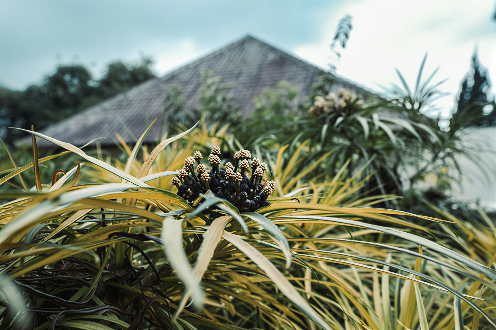 200-Stunden-YTT in Pelaga, Bali – 26. Okt. – 14. Nov. 2026