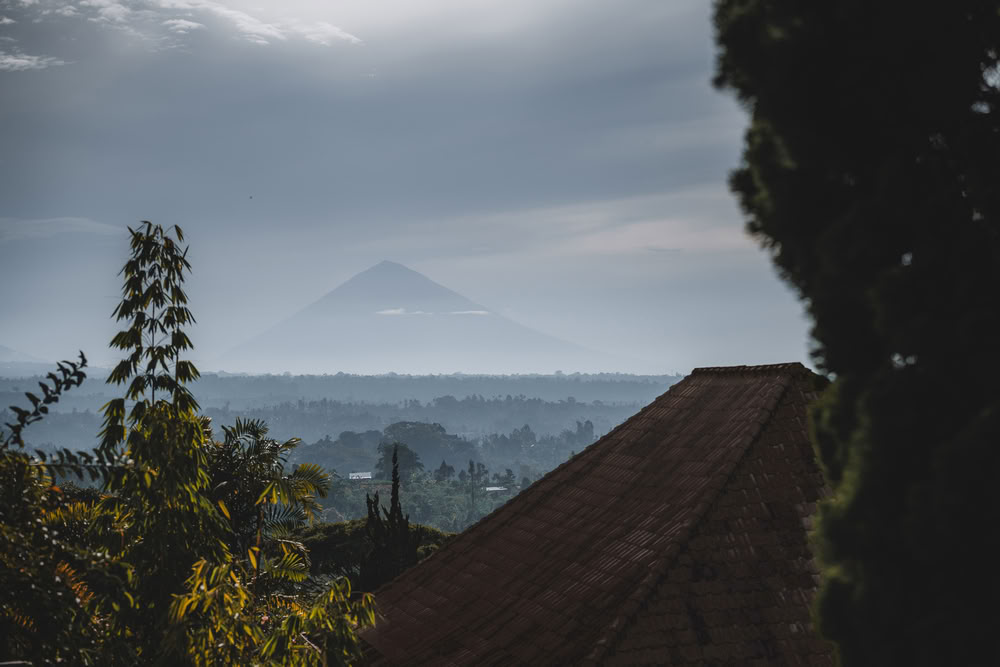 200-Stunden-YTT in Bali, Pelaga – 24. Juni – 11. Juli 2026