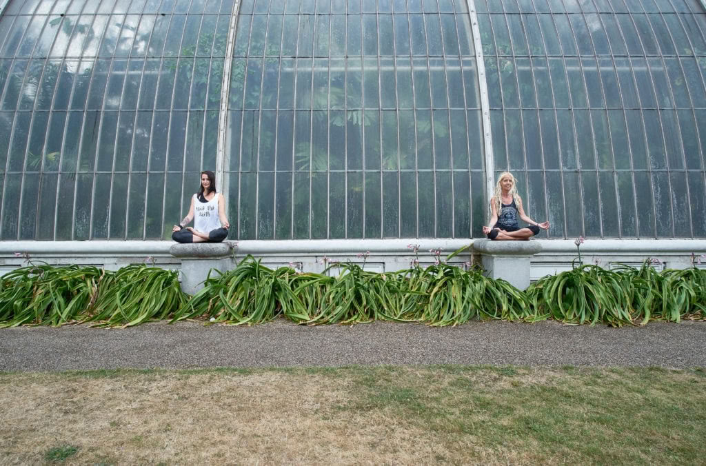Access Consciousness Therapien beim Medicine Festival