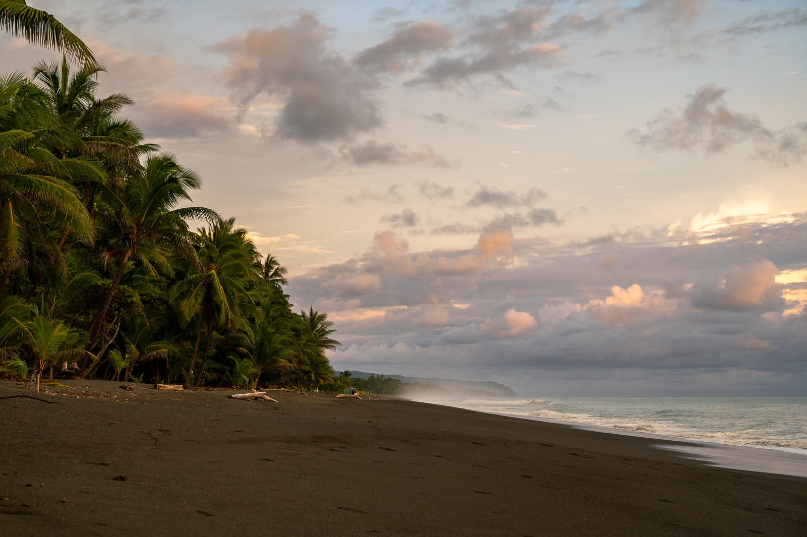 Kambo-Zeremonie in Cahuita - Reinigen, Heilen & Ermächtigen