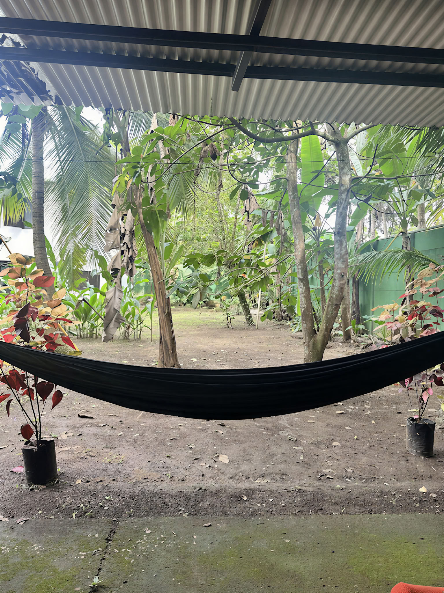 Home Sanctuary Ayahuasca Retreat – 18 - 25 Juli