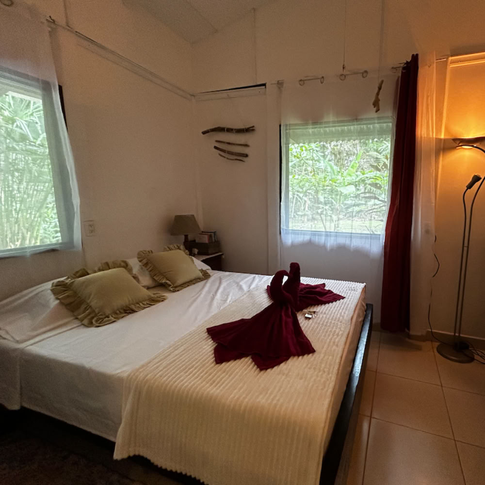 Home Sanctuary Ayahuasca Retreat – 22 - 29 August