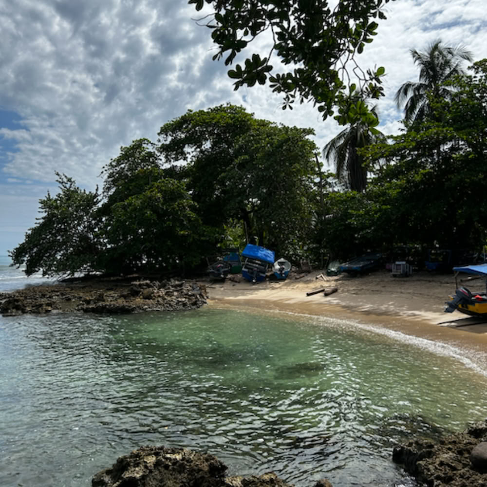 Home Sanctuary Ayahuasca Retreat – 22 - 29 August