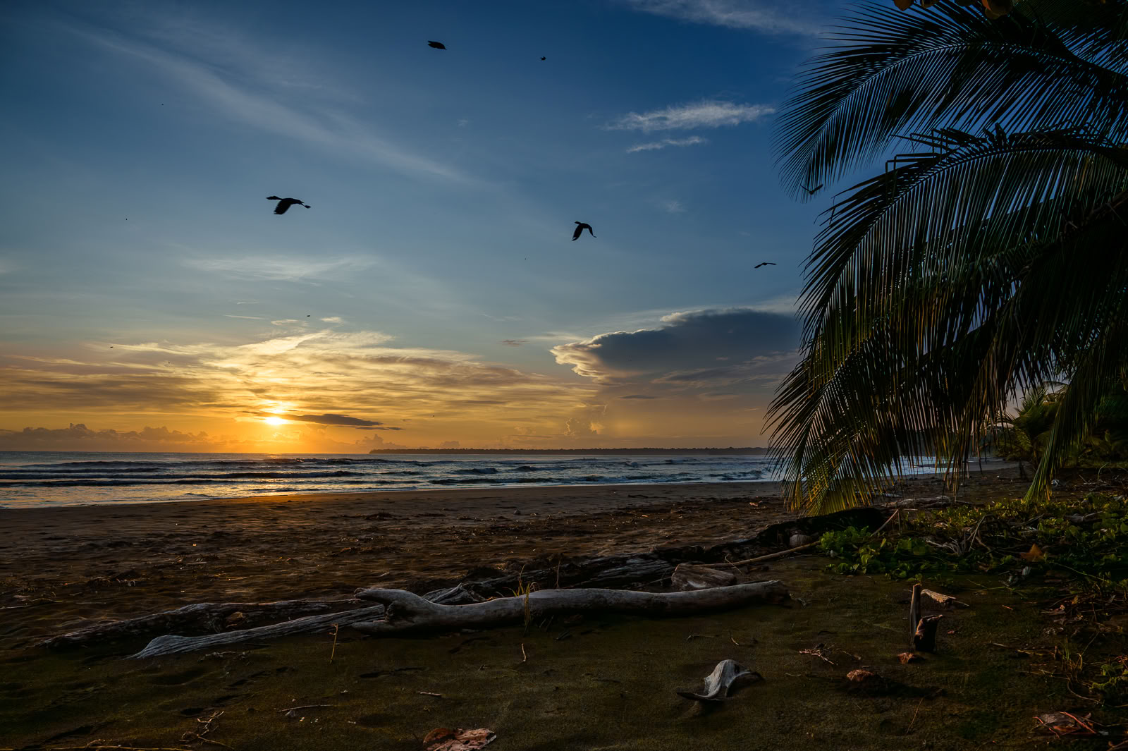 Home Sanctuary Ayahuasca Retreat – 22 - 29 August