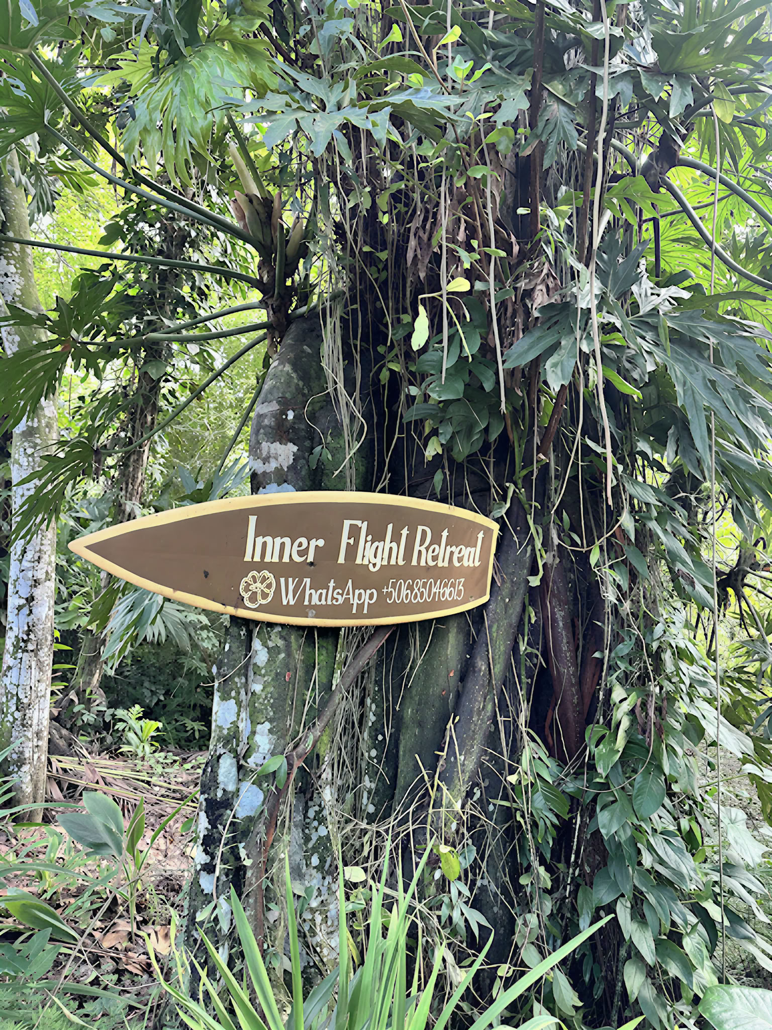 Home Sanctuary Ayahuasca Retreat – 19 - 26 September