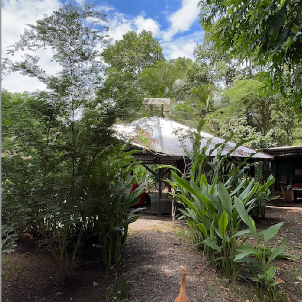 Home Sanctuary Ayahuasca Retreat – 5 - 12 Dezember