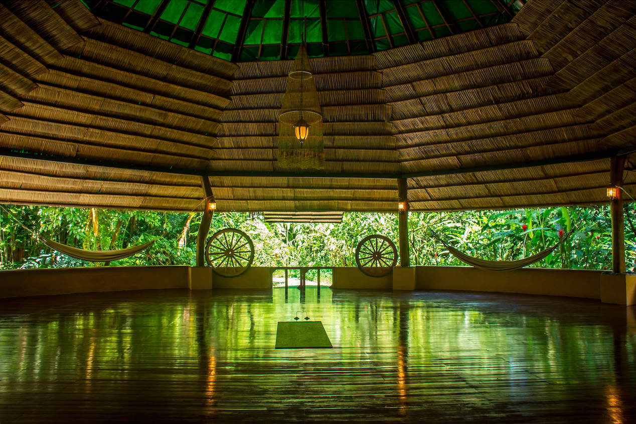 Shipibo Healing Retreat
