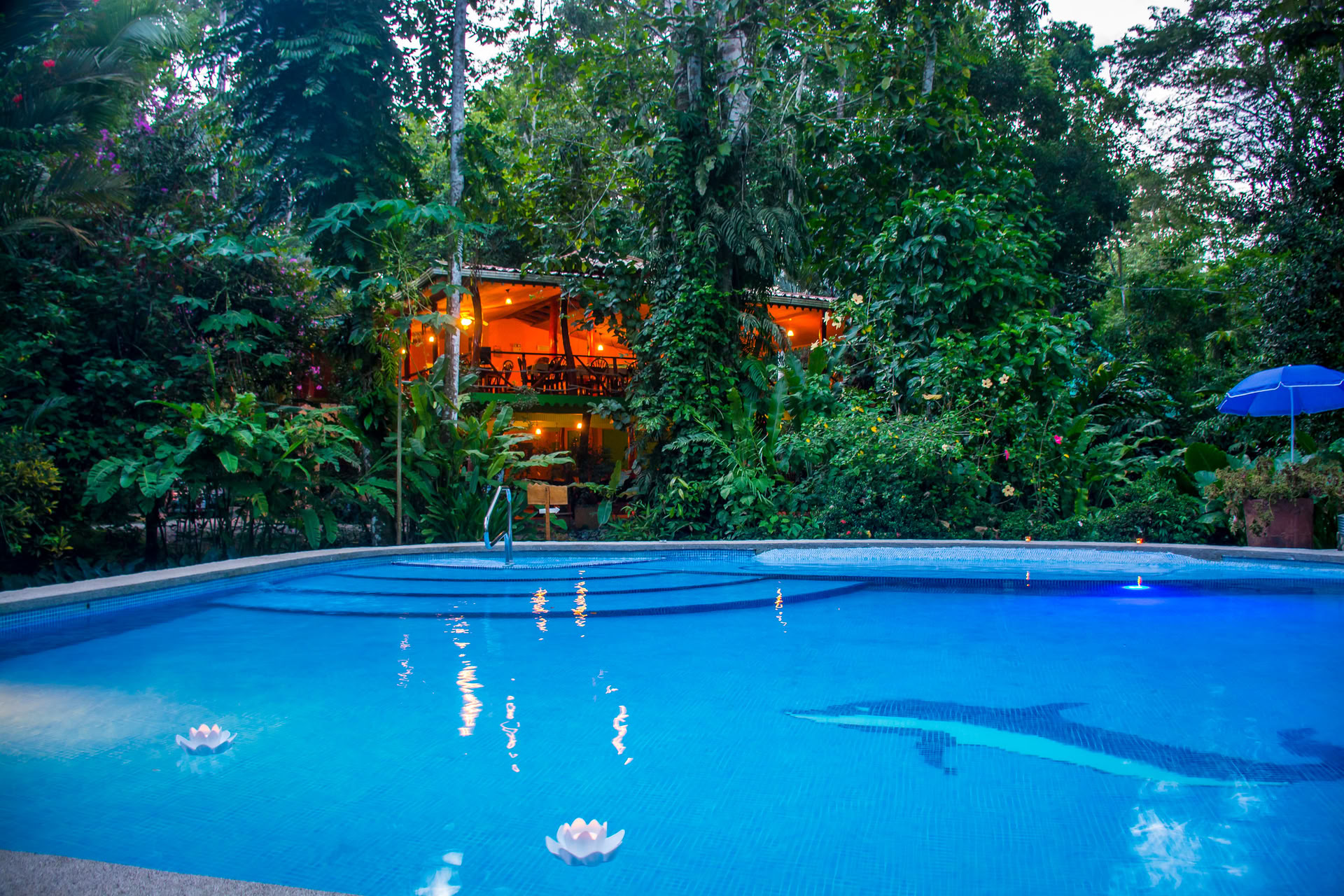 Shipibo Healing Retreat