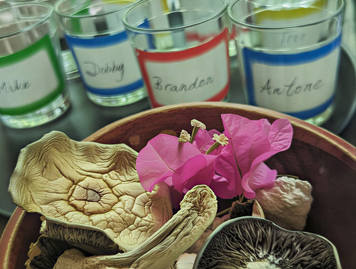 6-tägiges Psilocybin-Retreat-Programm