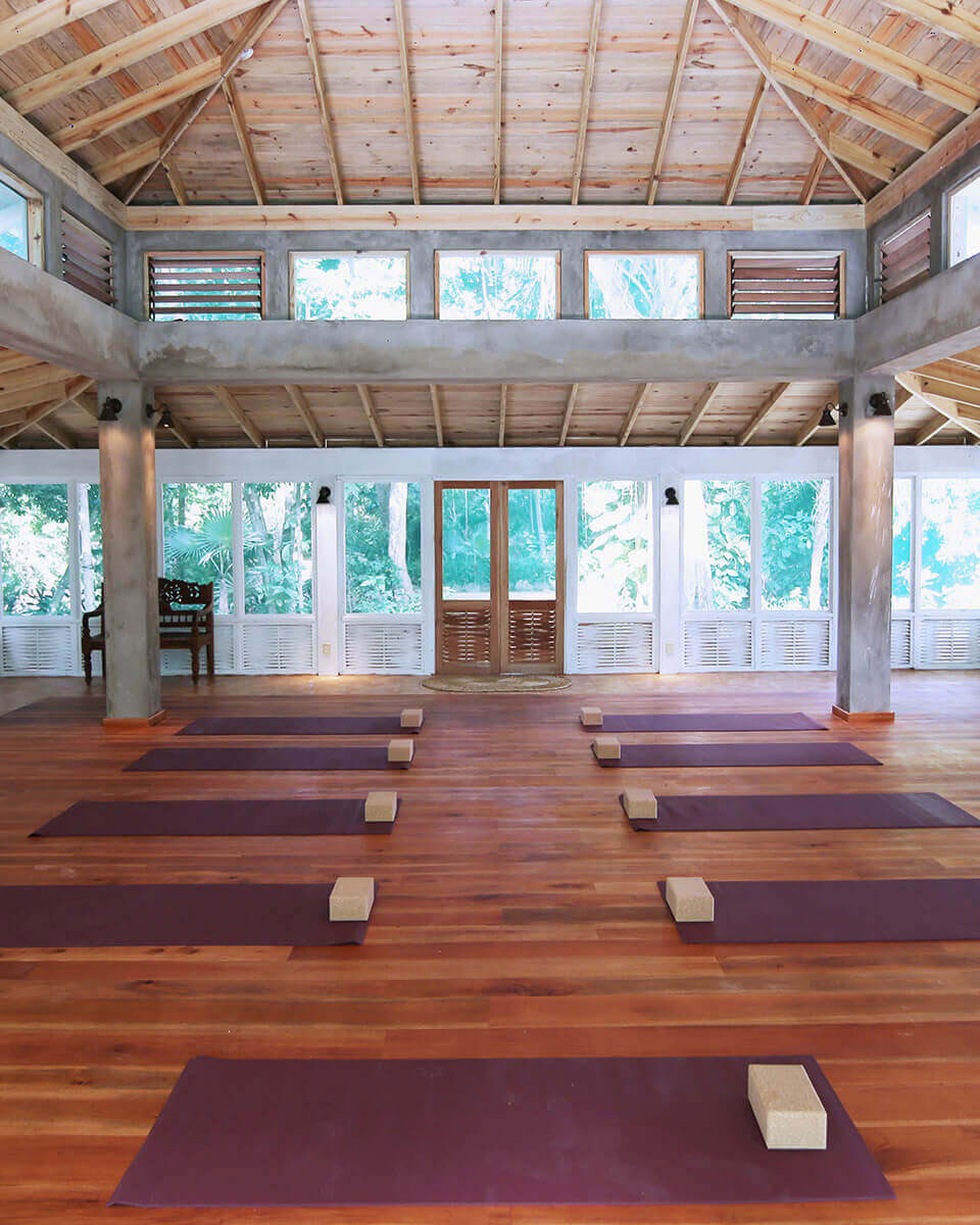 6-tägiges Psilocybin-Retreat-Programm