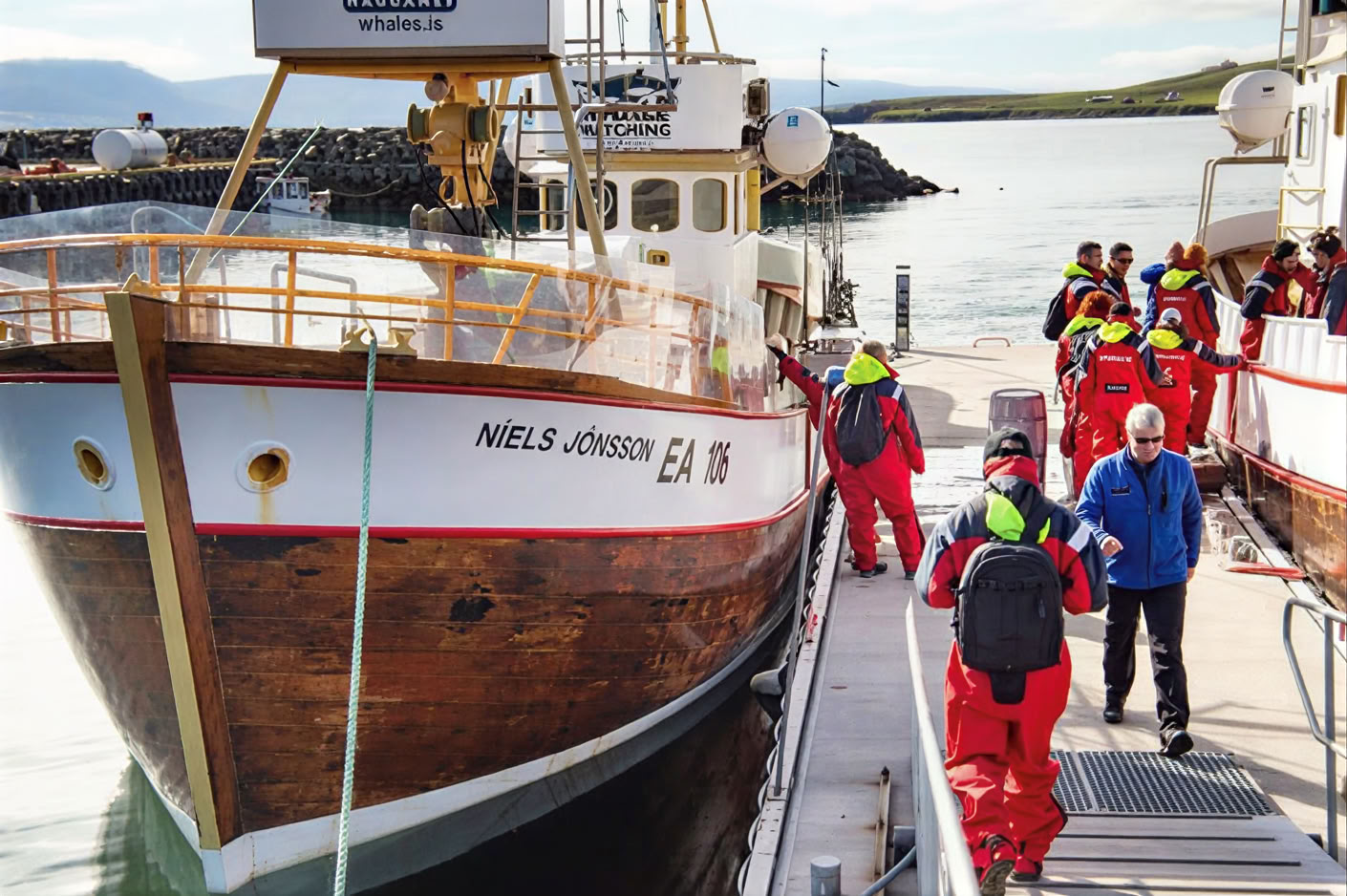 Whale Watching – 100% Walbeobachtung