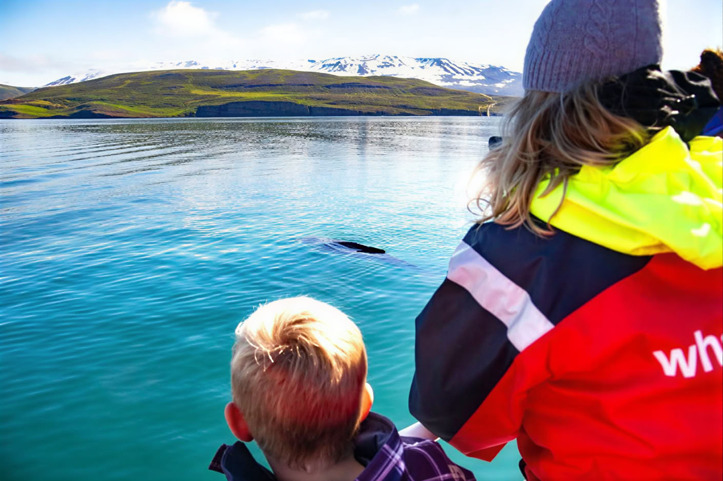 Whale Watching – 100% Walbeobachtung