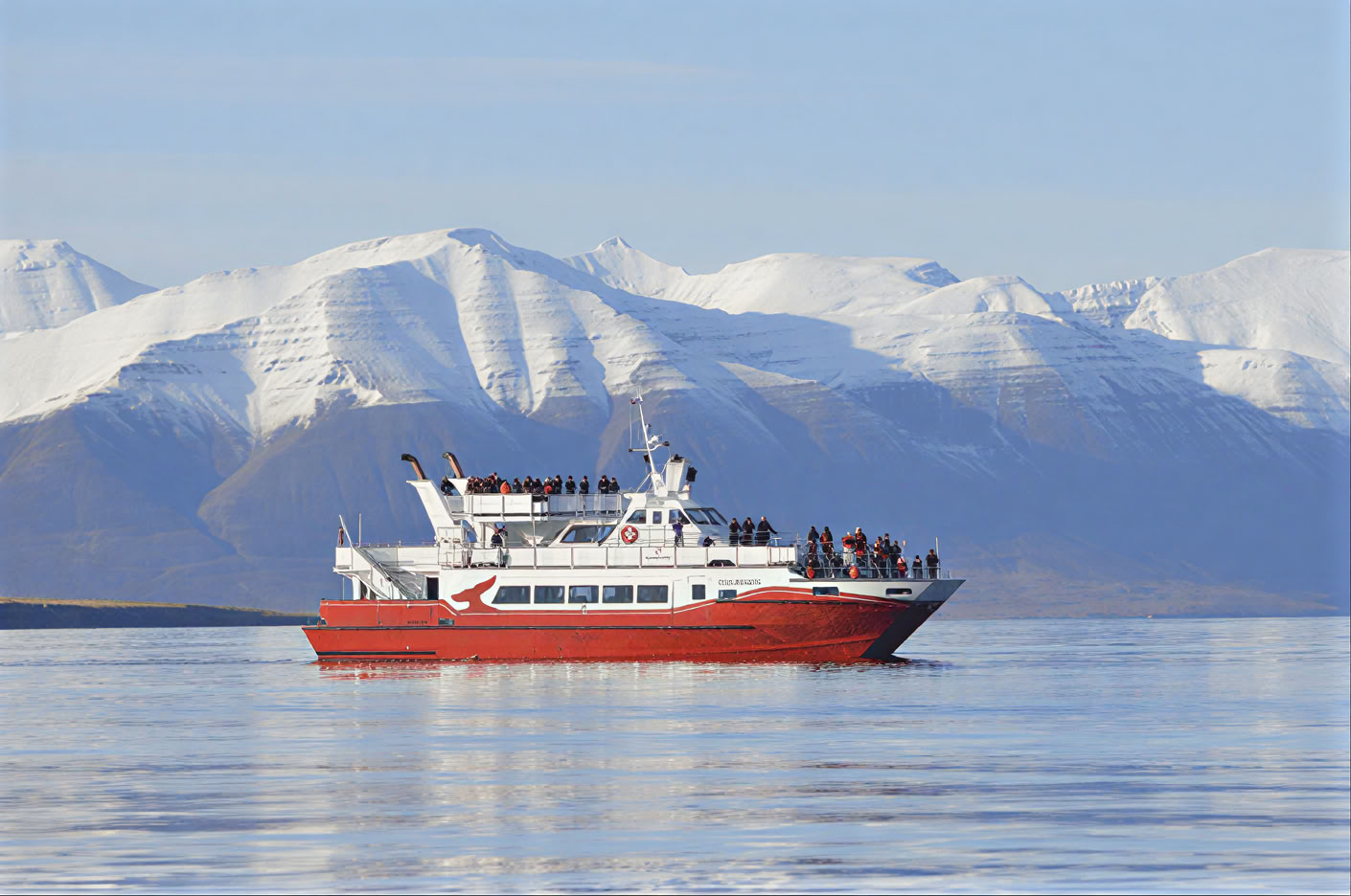 Akureyri Walbeobachtung