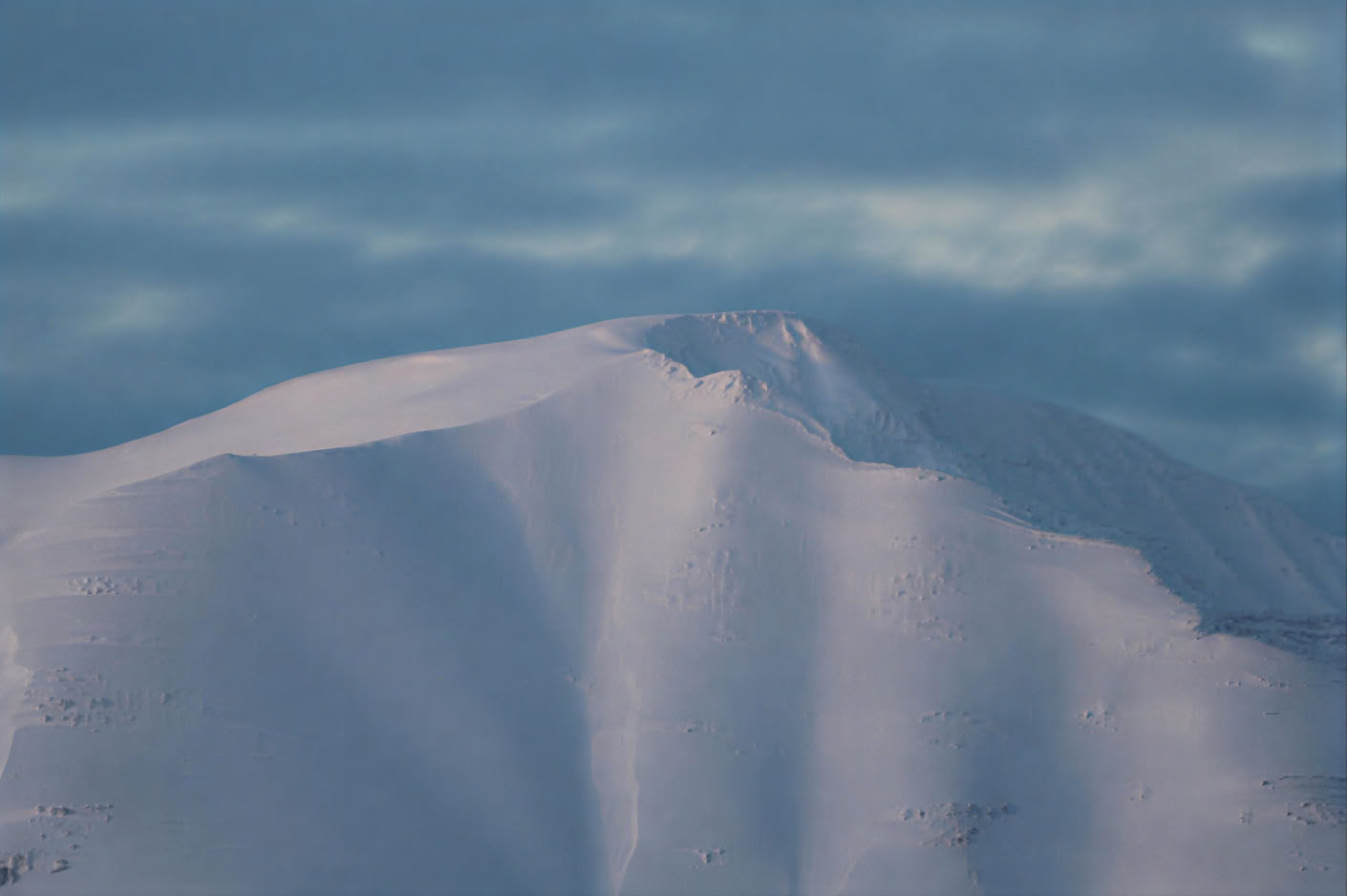 Akureyri Walbeobachtung