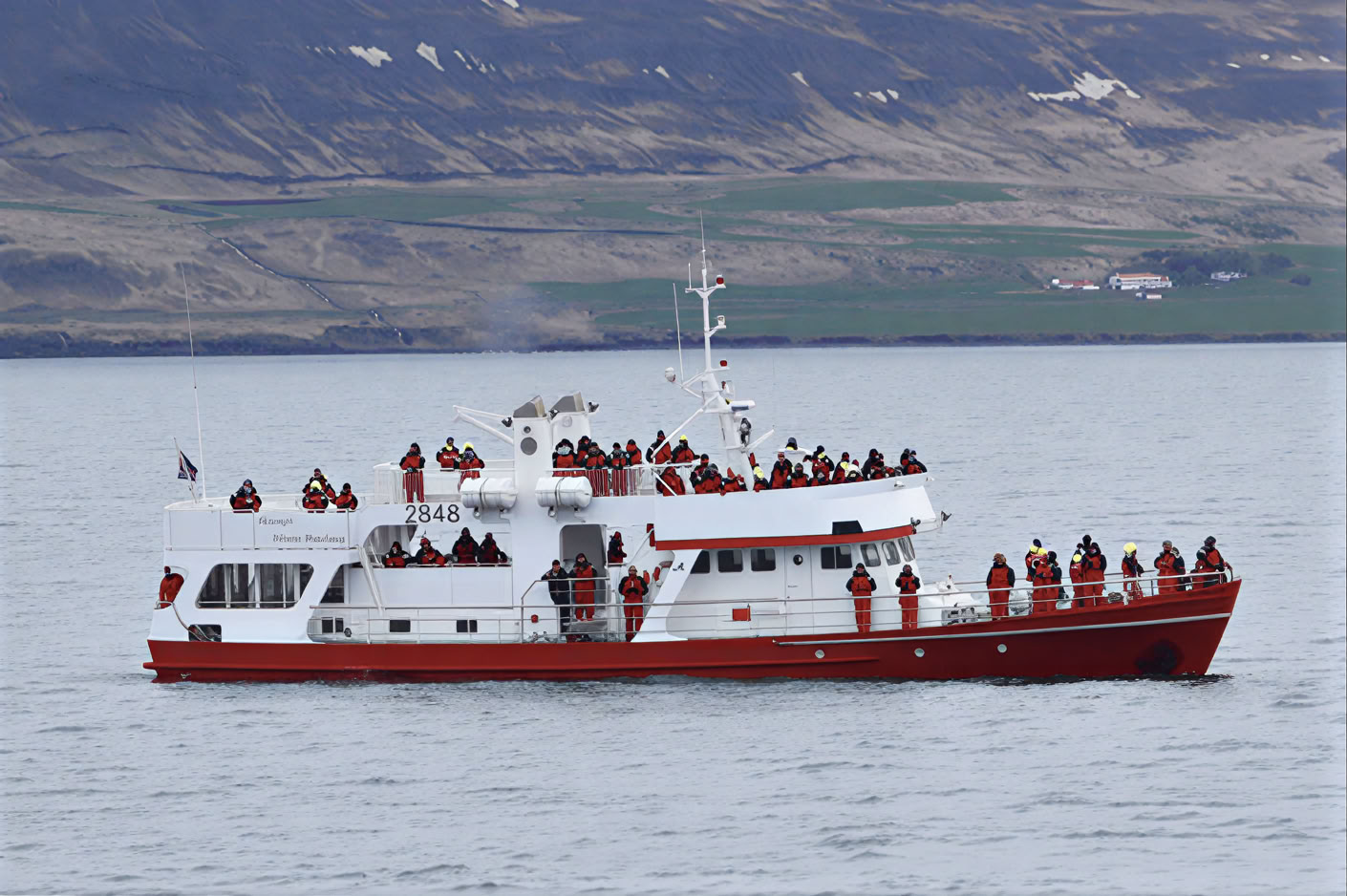Akureyri Walbeobachtung