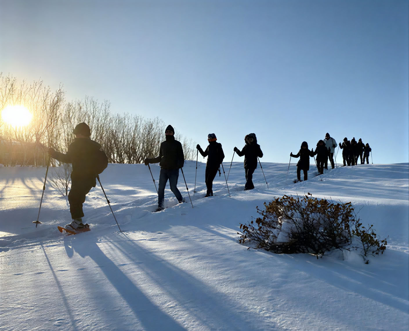 Yoga Retreat under the Northern Lights in Iceland – Dates Winter 2026