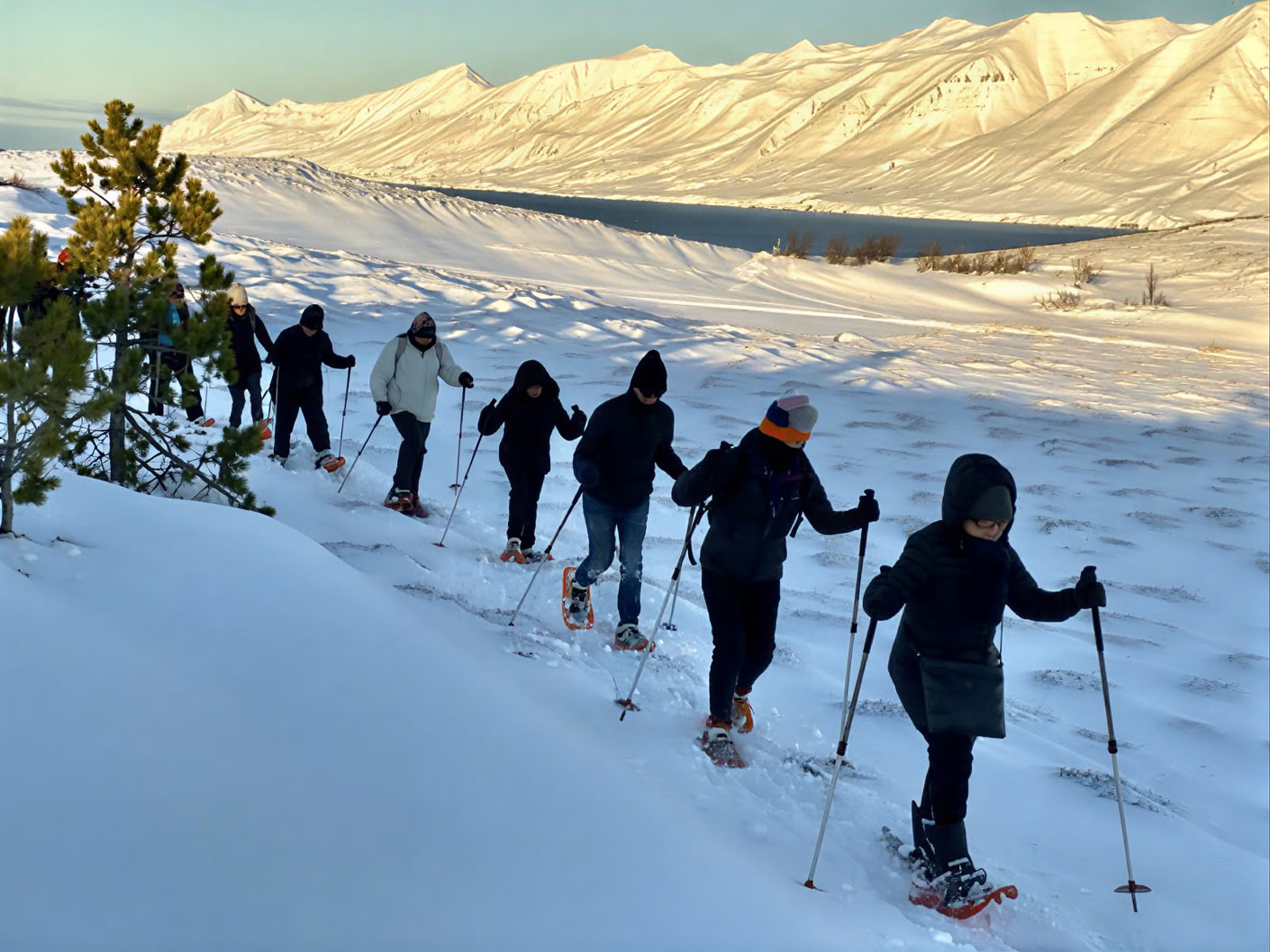 Yoga Retreat under the Northern Lights in Iceland – Dates Winter 2026