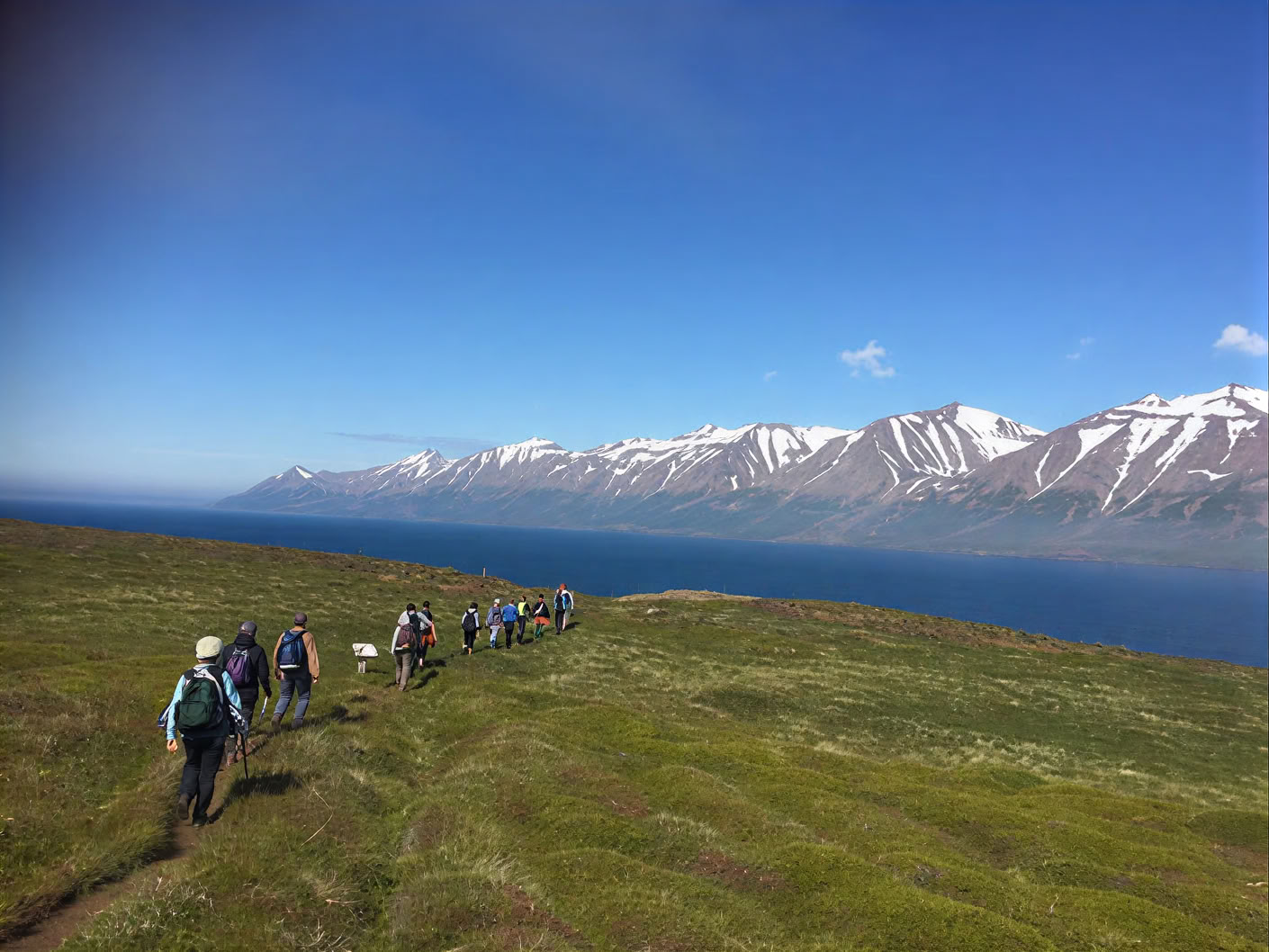Yoga & Hike Midnightsun Retreat in Iceland – Dates 2026