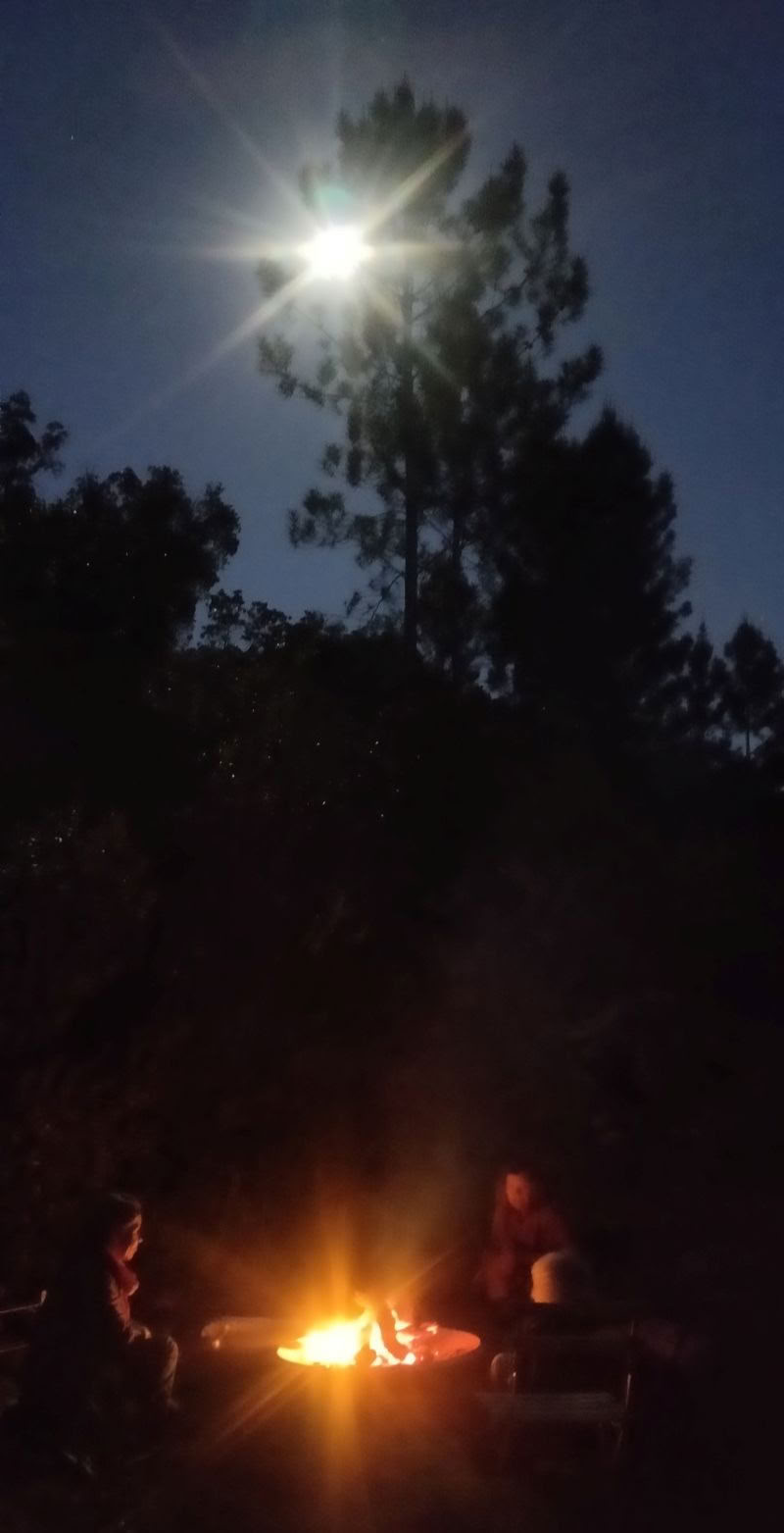 The Phoenix Rises - Eine Vision Quest Retreat