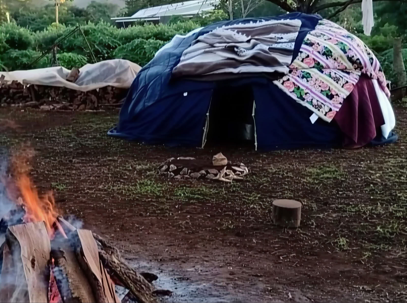 The Phoenix Rises - Eine Vision Quest Retreat