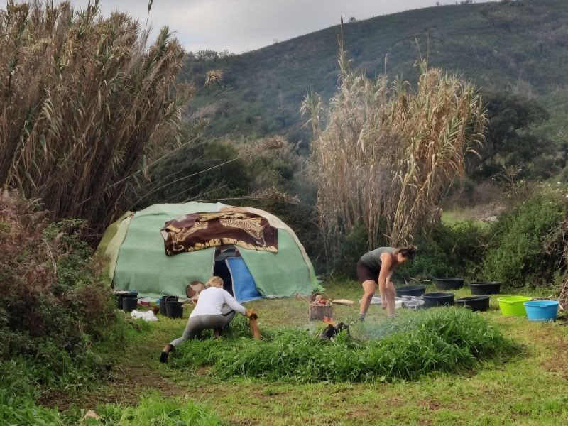 The Phoenix Rises - Eine Vision Quest Retreat