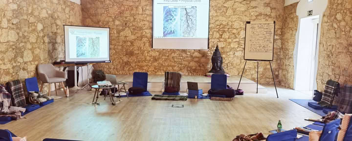 3-tägiges Retreat ACTIVATE YOUR TRUTH ®