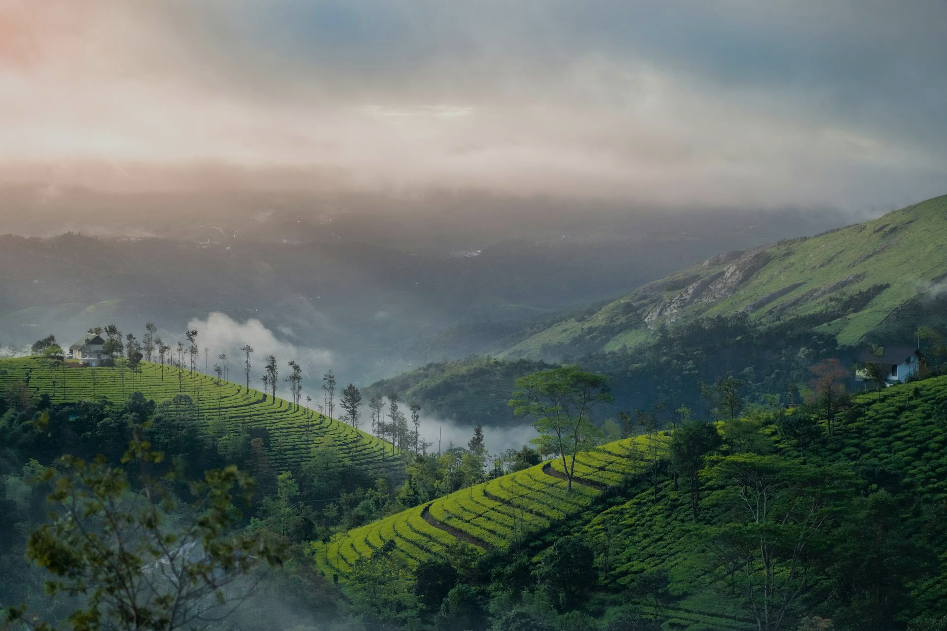 Kerala Yoga Retreats mit Ira Trivedi