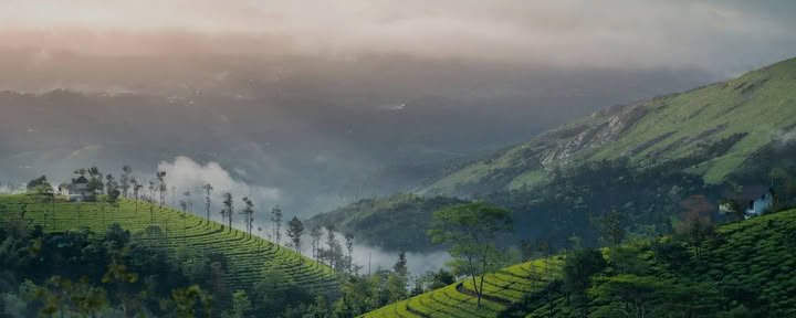 Kerala Yoga Retreats mit Ira Trivedi