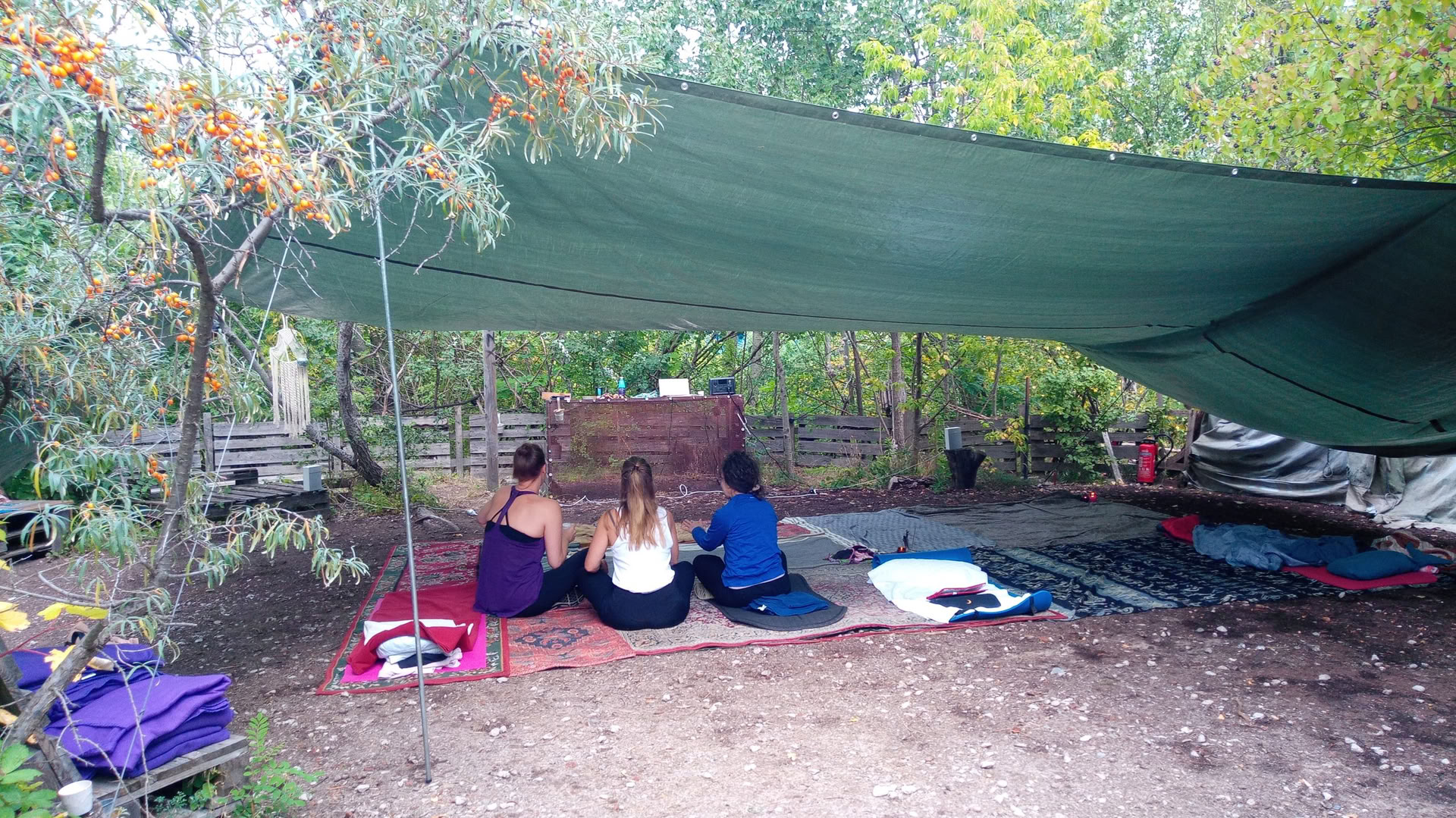 Wild Breathwork Berlin – Atemreise unter freiem Himmel