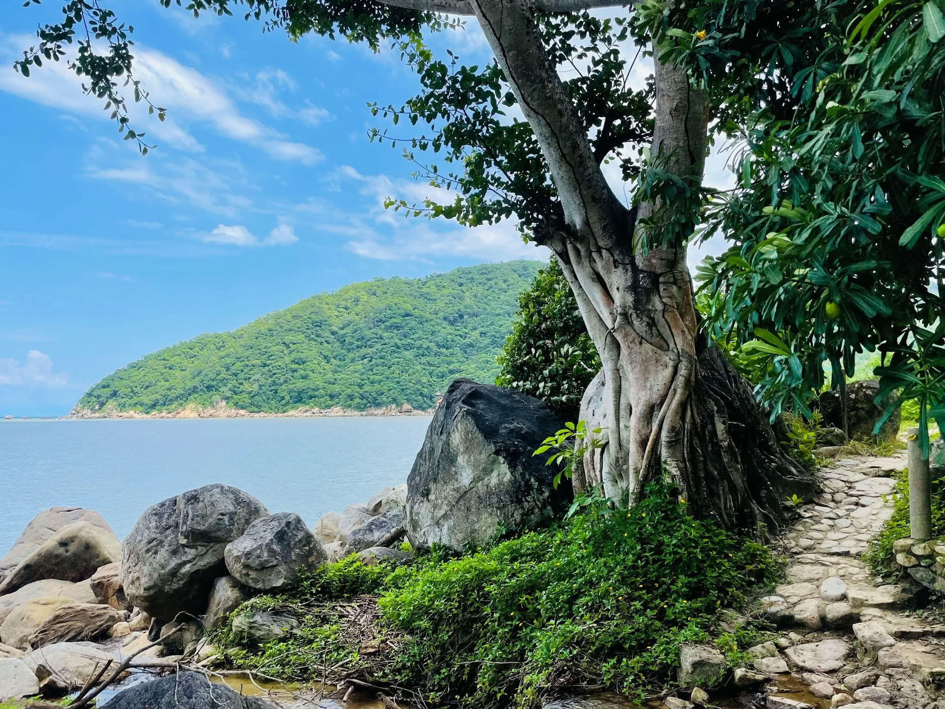 Heal Subtle Forces Within: Reset & Recovery Wellness Retreat