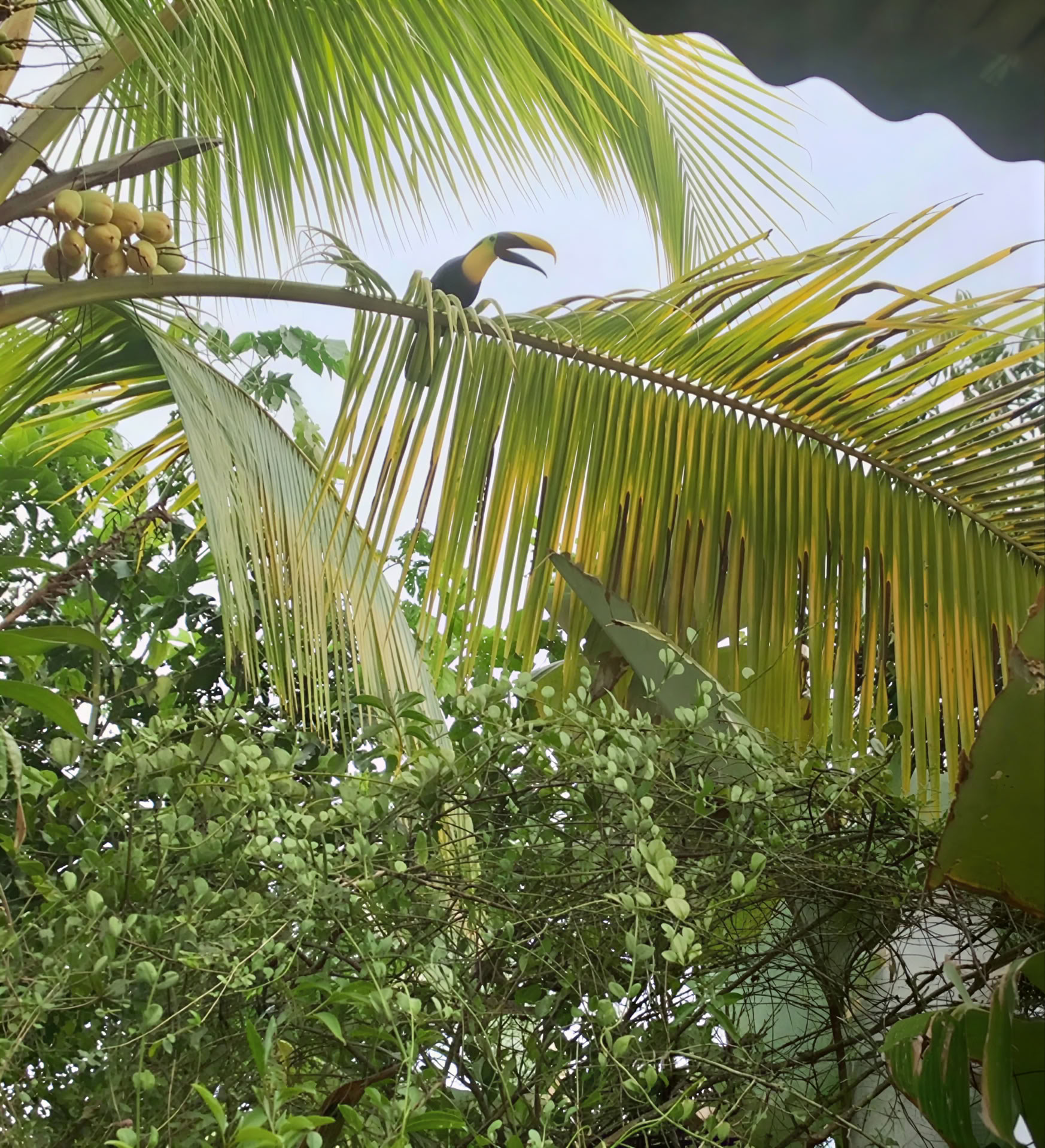 Couples 4 Nacht Mini-Retreats