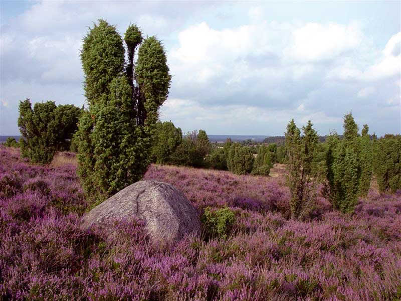 Fastenkurs mit Wandern und Yoga