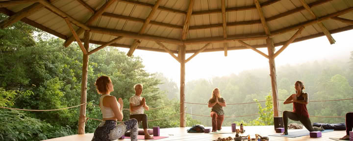 Yin & Somatics Yoga Lehrer:innen-Ausbildung | Smoky Mountains — Seven Springs