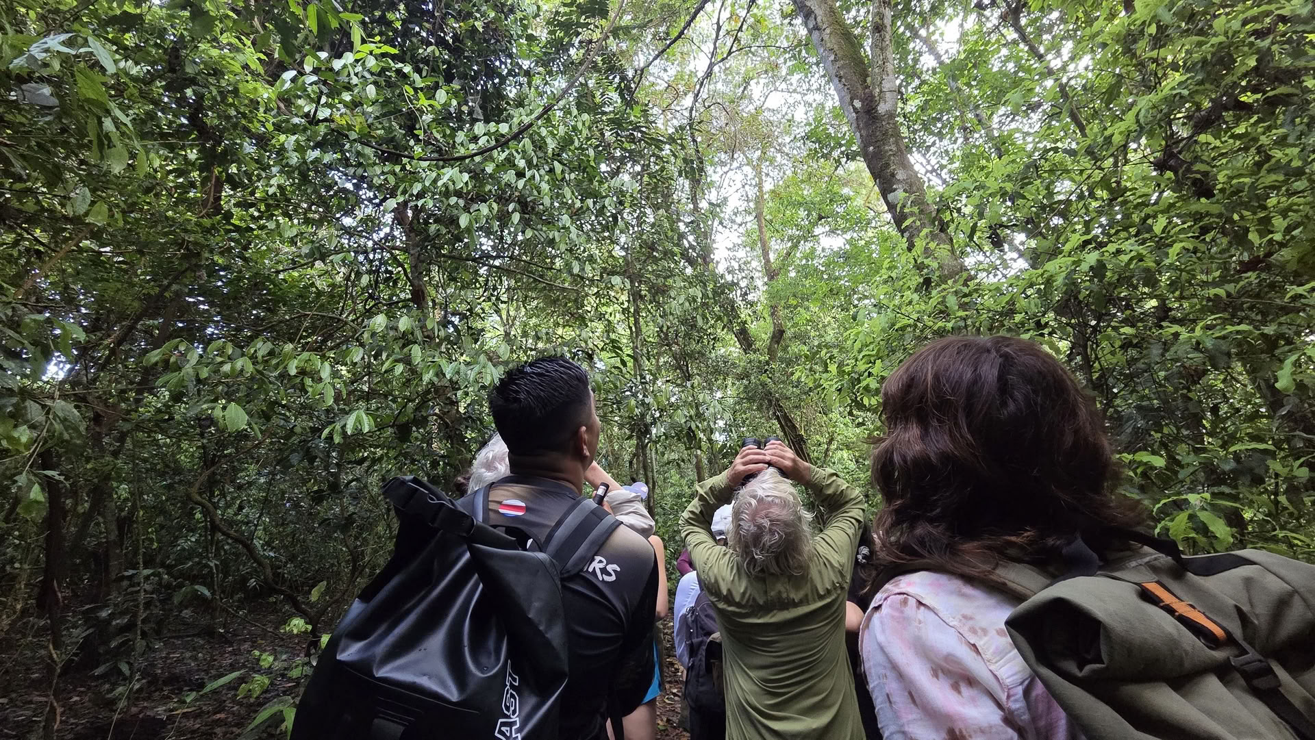 Entdecke Costa Rica mit Lucy Cooke