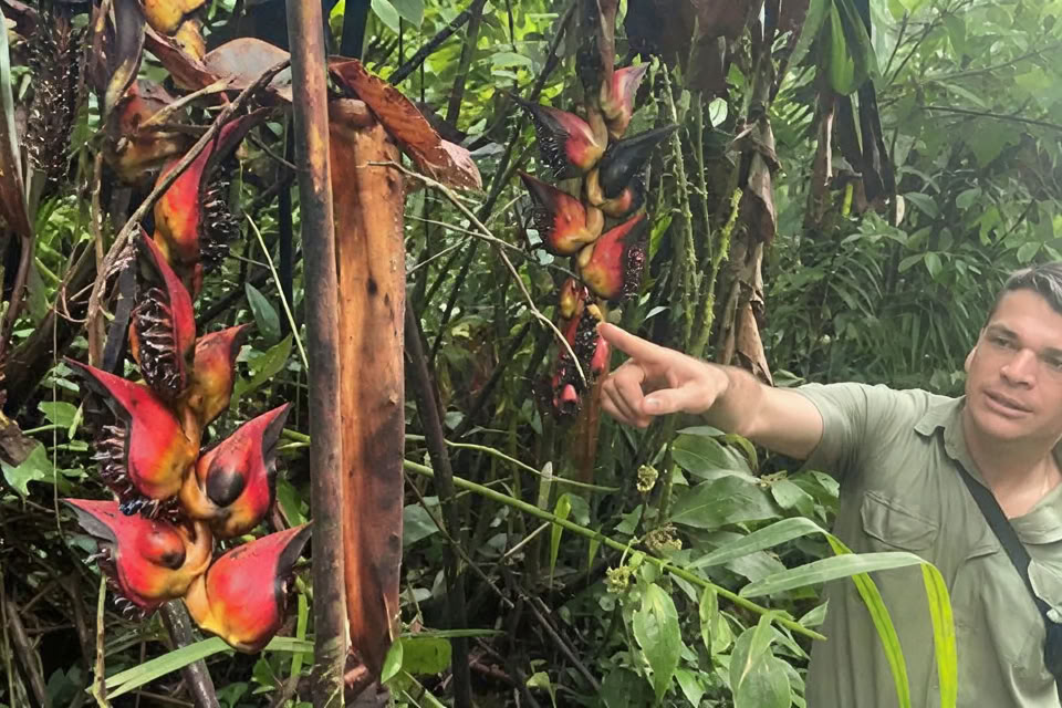 5-Tage-/4-Nächte Yoga- & Meditations-Retreat in Tamarindo, Costa Rica