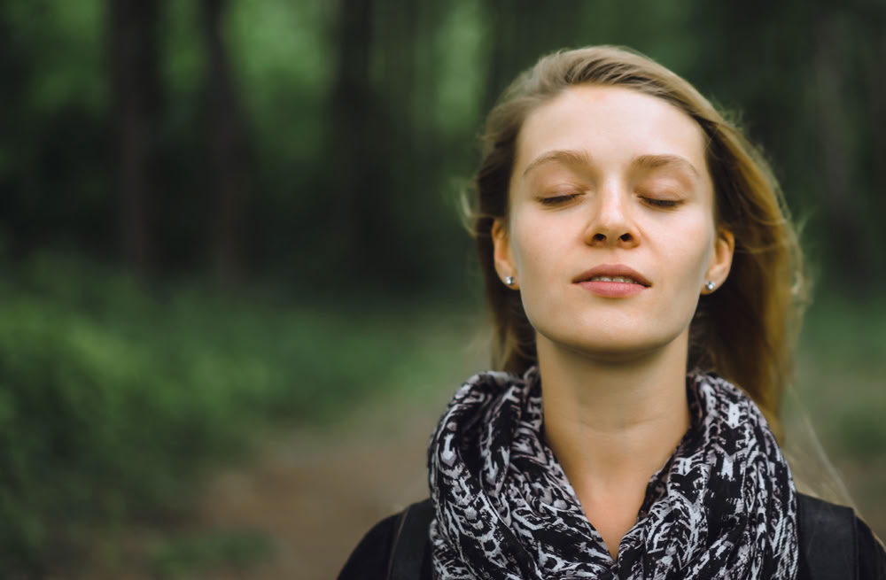 5-tägiges Psilocybin-Retreat – 5 Tage - 15.-19. März 2027