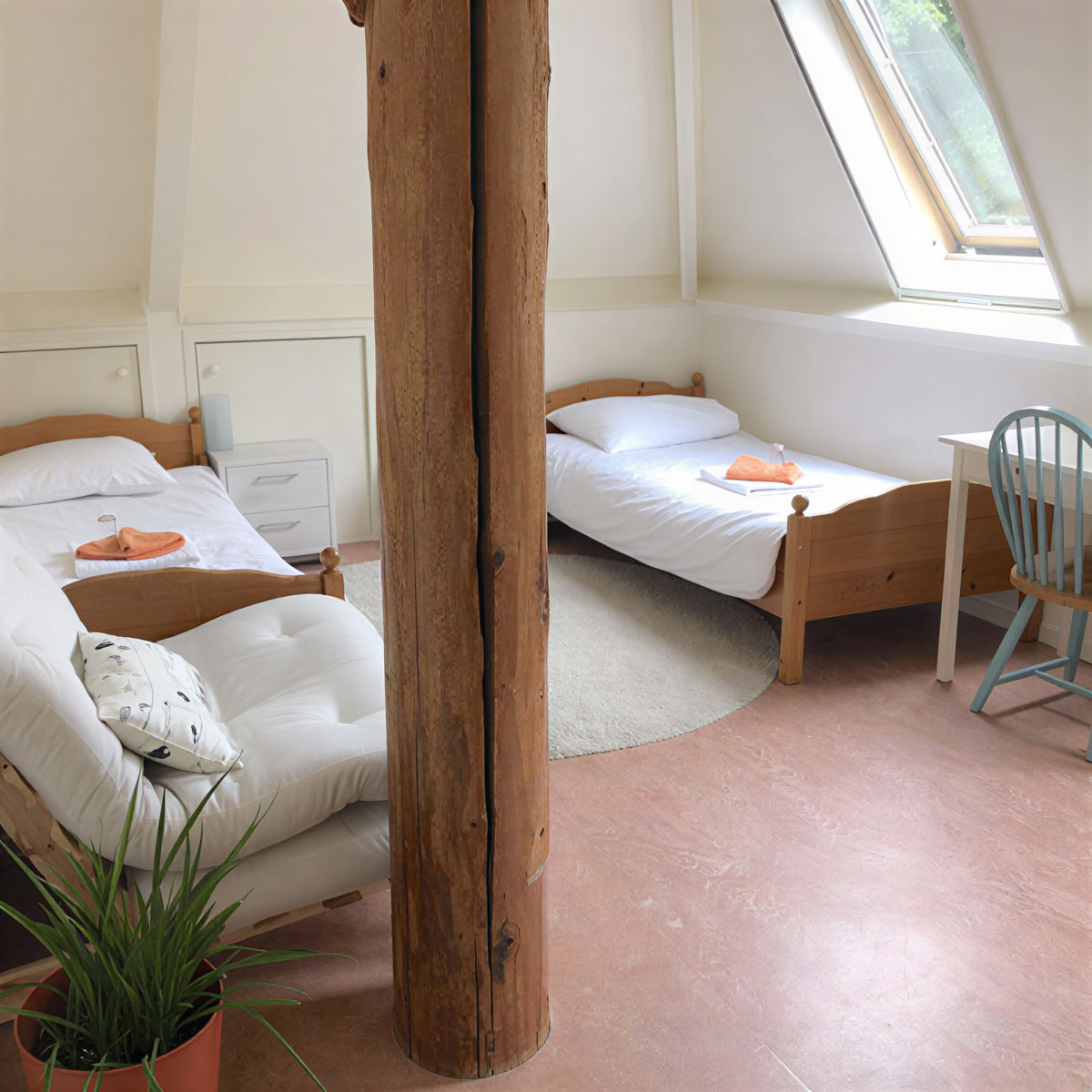 5-tägiges Psilocybin-Retreat – 5 Tage - 15.-19. März 2027
