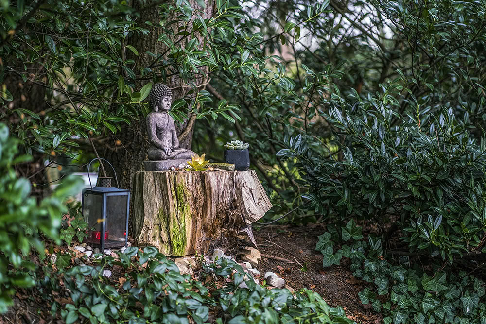 5-tägiges Psilocybin-Retreat – 5 Tage - 15.-19. März 2027
