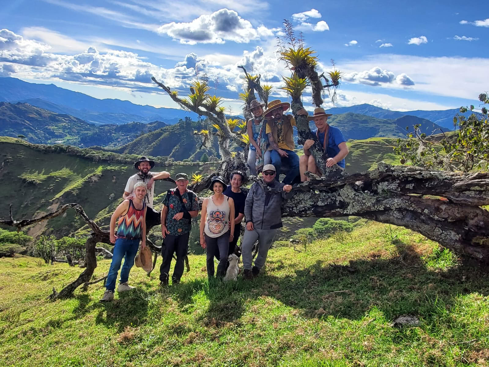 9-tägiges Ancestral Plant Medicine Retreat
